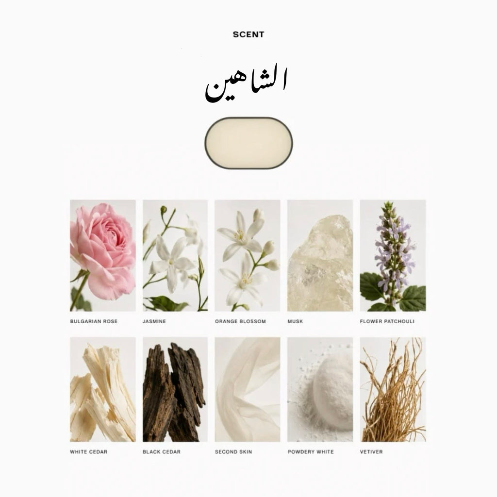 كبسولة الشاهين