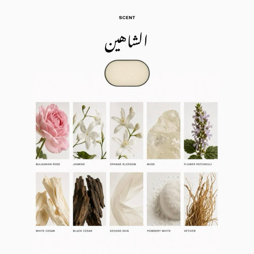 كبسولة الشاهين